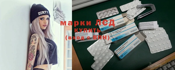 ALPHA PVP Гусев