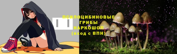 твердый Гусиноозёрск