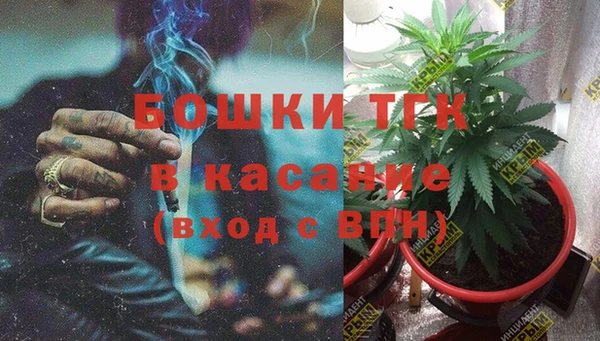 кокс Гусь-Хрустальный