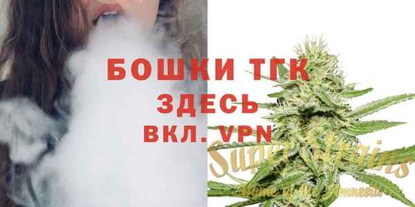 ALPHA PVP Гусев